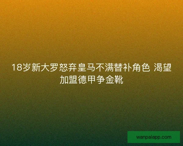 18岁新大罗怒弃皇马不满替补角色 渴望加盟德甲争金靴 18岁新大罗怒弃皇马不满替补角色 渴望加盟德甲争金靴